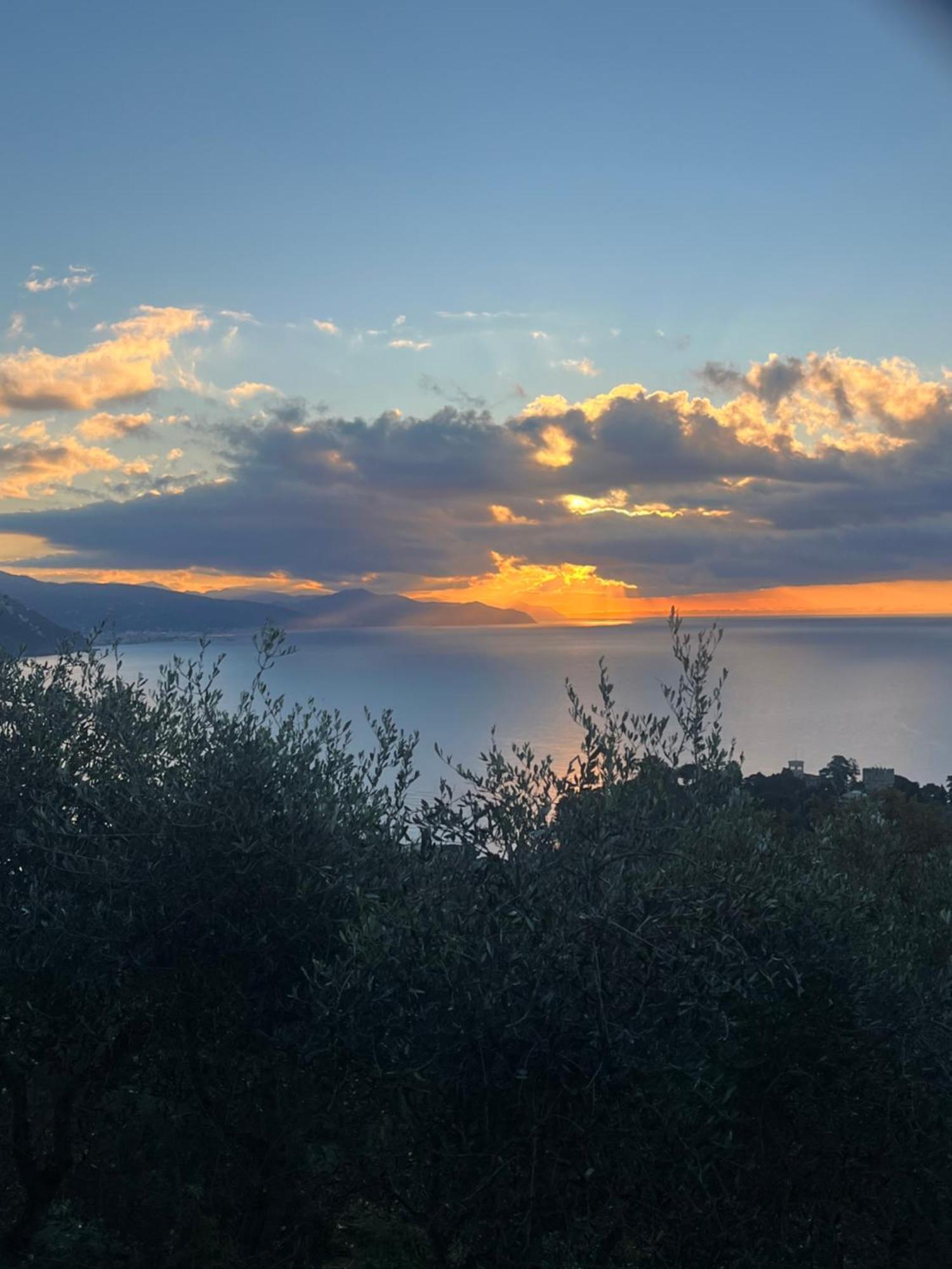 La Conchiglia Bed & Breakfast Camogli Exteriör bild