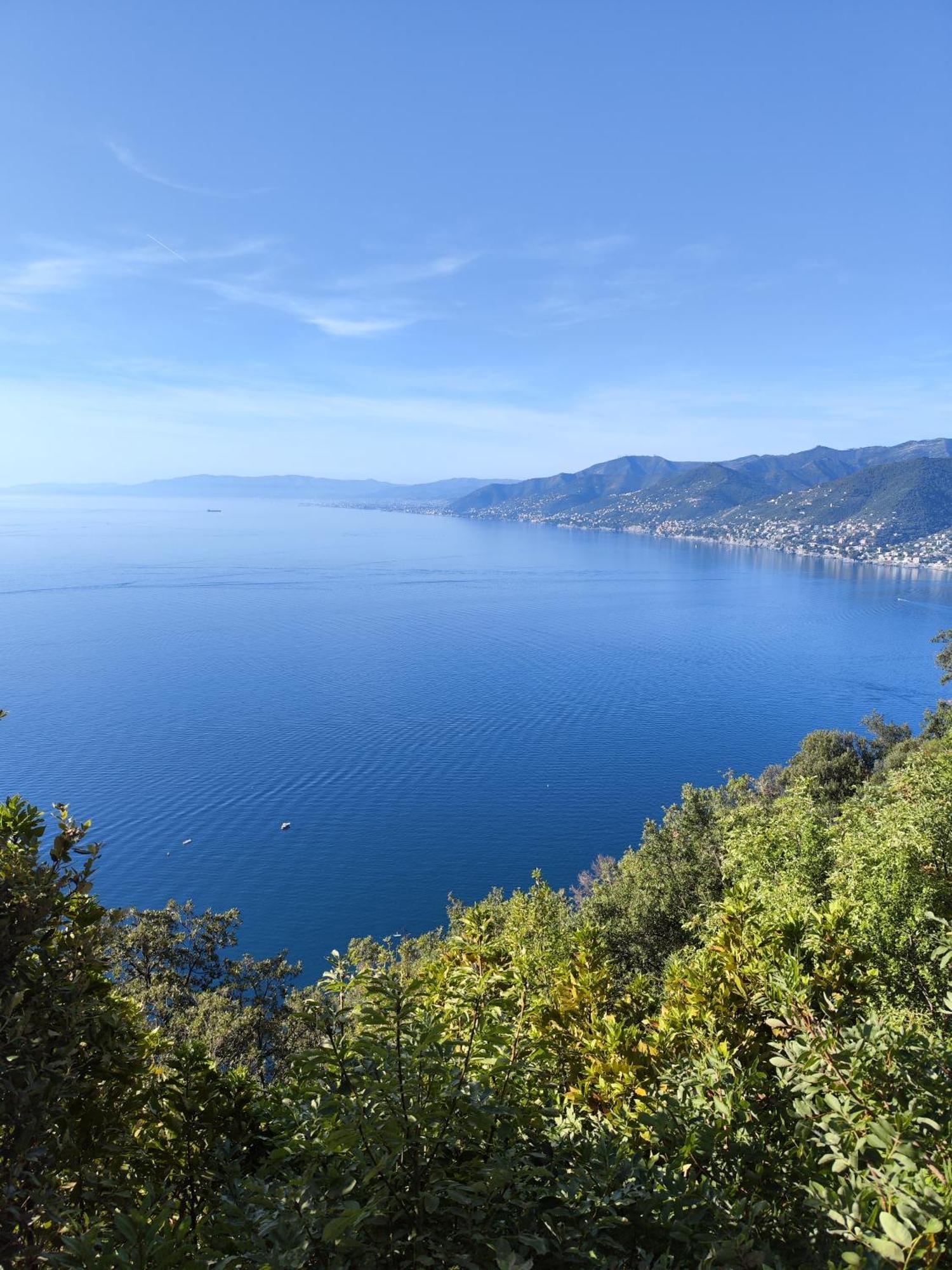 La Conchiglia Bed & Breakfast Camogli Exteriör bild