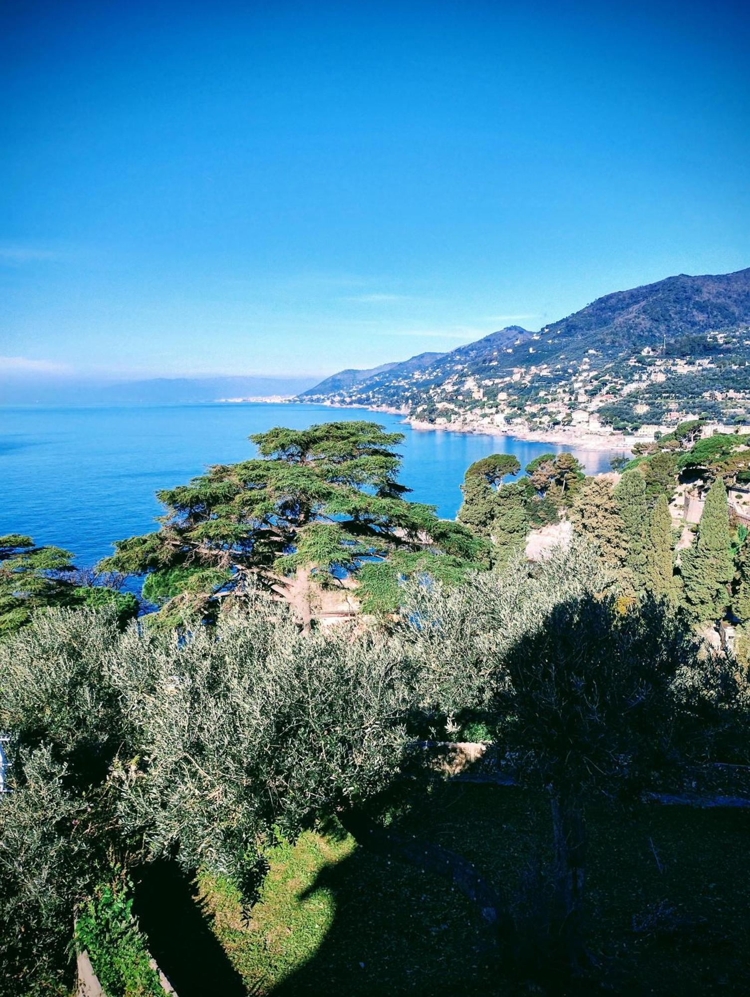 La Conchiglia Bed & Breakfast Camogli Exteriör bild