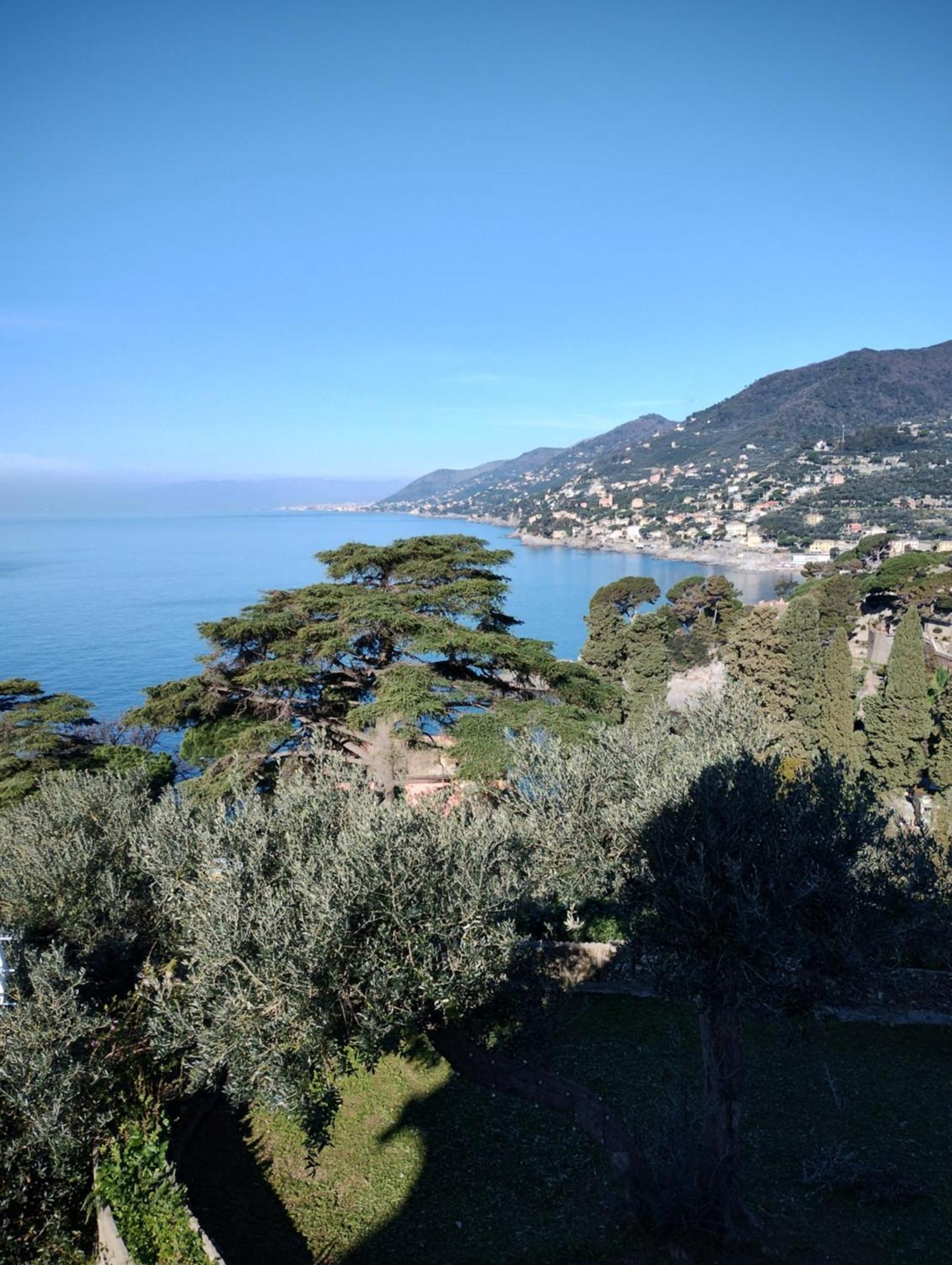La Conchiglia Bed & Breakfast Camogli Exteriör bild
